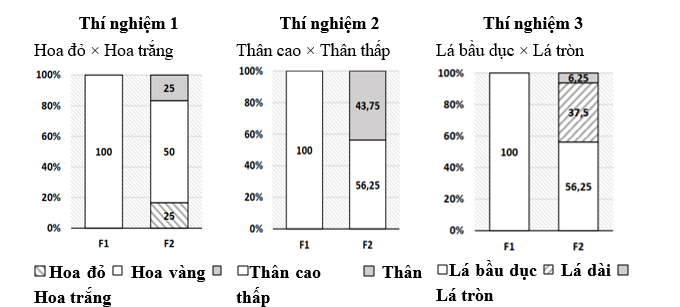 Ở một loài thực vật có hoa, xét ba tính trạng khác nhau: màu sắc hoa, chiều dài thân và hình dạng lá; mỗi tính trạng tuân theo một quy luật di truyền khác nhau và các gene  quy định các tính trạng phân li độc lập với nhau. (ảnh 1)