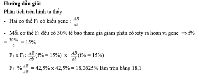 Ở một loài côn trùng, allele A quy định thân xám trội hoàn toàn so với allele a quy định thân đen, allele B quy định mắt đỏ trội hoàn toàn so với mắt trắng. (ảnh 2)