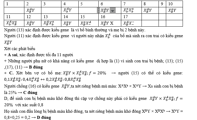 Cho sơ đồ phả hệ sau đây về bệnh mù màu và máu khó không. Biết rằng bệnh mù màu do gene  lặn a gây ra, còn bệnh máu khó đông do gene  lặn b gây ra.  (ảnh 2)