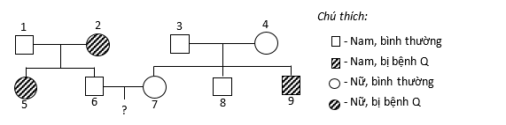 Theo dõi sự di truyền bệnh Q trên những người thuộc một dòng họ, người ta vẽ được sơ đồ phả hệ sau: (ảnh 1)