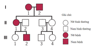 Sơ đồ phả hệ dưới đây mô tả về sự di truyền một bệnh ở người do 1 trong 2 allele của 1 gene  quy định. Cho biết không có phát sinh đột biến xảy ra trong phả hệ.  (ảnh 1)