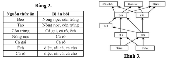 Các mối quan hệ dinh dưỡng trong một con sông được mô tả trong Bảng 2 và Hình 3: (ảnh 1)