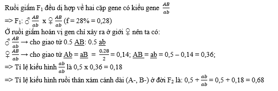 Ở ruồi giấm, alelle A quy định thân xám trội hoàn toàn so với alelle a quy định thân đen, alelle B quy định cánh dài trội hoàn toàn so với alelle b quy định cánh cụt. (ảnh 1)