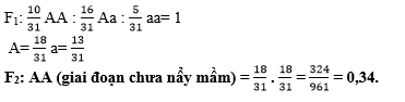 Một quần thể thực vật lưỡng bội, có một gene gồm hai allele (A, a). Ở thế hệ P, quần thể có cấu trúc di truyền là 0,25 AA : 0,50 Aa : 0,25 aa. Từ thế hệ F1 ở giai đoạn hạt (chưa nảy mầm) trở đi, (ảnh 1)