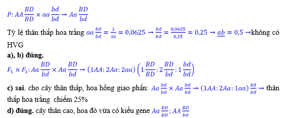 Ở một loài thực vật, tiến hành phép lai P thuần chủng thân cao, hoa đỏ đậm và thân thấp, hoa trắng, F1 100% thân cao, đỏ nhạt. Cho F1 giao phấn với nhau, ở F2 có 101 thân cao, hoa đỏ đậm: 399 thân cao (ảnh 1)