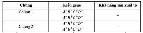 Ở tằm, có một operon gồm 4 vùng thực hiện điều hòa biểu hiện gene cho quá trình sản xuất tơ, operon đó gồm 4 vùng ABCD, trong đó có hai gene khác nhau quy định sản xuất tơ. (ảnh 1)