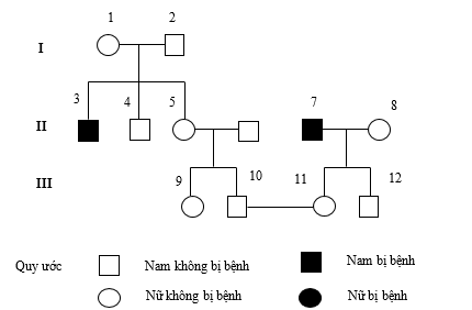 Sơ đồ phả hệ sau đây mô tả sự di truyền bệnh máu khó đông ở người do gene nằm trên vùng không tương đồng của nhiễm sắc thể giới tính X quy định: (ảnh 1)