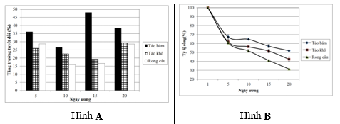 Khi nghiên cứu sự tăng trưởng tuyệt đối của ốc đĩa (Nerita balteata) giống với ba loại thức ăn là tảo bám, tảo khô và rong câu (Gracilaria sp) tại tỉnh Quảng Ninh năm  2013, tiến sĩ Ngô Anh Tuấn đã thu được kết quả được thể hiện qua biểu đồ Hình A.  (ảnh 1)