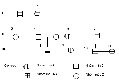 Ở người tính trạng nhóm máu do gen I nằm trên NST thường quy định. Gen I có 3 alen là  IA, IB, IO  trong đó IA, IB  đều trội so với IO nhưng không trội so với nhau. Người có kiểu gen IA IA hoặc IA IO  có nhóm máu A (ảnh 1)
