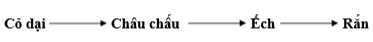 Thứ tự các sinh vật sau mô tả một chuỗi thức ăn trong một đồng ruộng bỏ hoang.  Biết Cỏ dại tích lũy trung bình 6000 kcal/năm/1000m2. Châu chấu đã sử dụng  năng lượng của cỏ trên với hiệu suất 5%. Ếch lấy Châu chấu làm thức ăn và tích lũy được 21 kcal.  (ảnh 1)