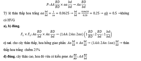 Ở một loài thực vật, tiến hành phép lai P thuần chủng thân cao, hoa đỏ đậm và thân thấp, hoa trắng, F1 100% thân cao, đỏ nhạt. Cho F1 giao phấn với nhau, ở F2 có 101 thân cao, hoa đỏ đậm: 399 thân cao (ảnh 1)