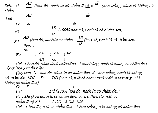 Ở một loài thực vật, khi lai giữa cây hoa tím, nách lá có chấm đen với cây hoa trắng, nách lá không có chấm đen, thu được F1 toàn cây hoa tím, nách lá có chấm đen. (ảnh 1)