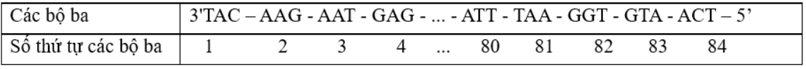 Một đoạn của gene cấu tr&uacute;c ở sinh vật nh&acirc;n sơ c&oacute; trật tự nucleotide tr&ecirc;n mạch bổ sung như sau: (ảnh 1)