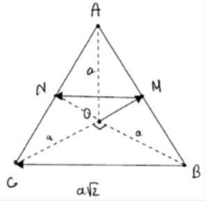 Đ&aacute;p &aacute;n cần chọn l&agrave;: Đ; S; Đ (ảnh 1)