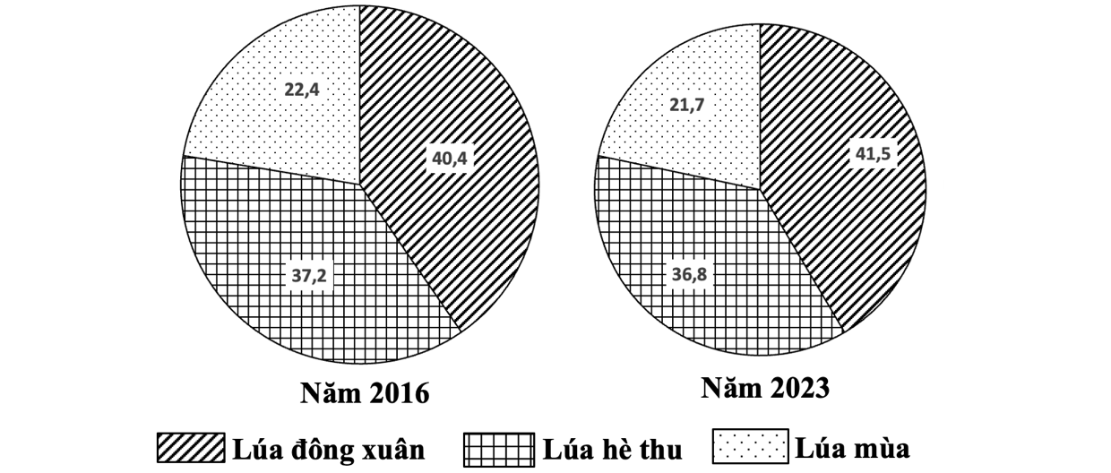 Cho biểu đồ:    Căn cứ vào bảng số liệu, hãy chọn nhận dịnh đúng với cơ cáu diện tishc lúa cả năm phân theo mùa vụ của nước ta, năm 2016 và năm 2023? (ảnh 1)
