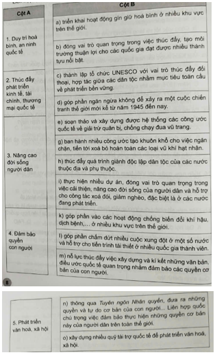 Ghép thông tin ở cột A với thông tin ở cột B cho phù hợp với vai trò của Liên hợp quốc trong từng lĩnh vực cụ thể. (ảnh 1)