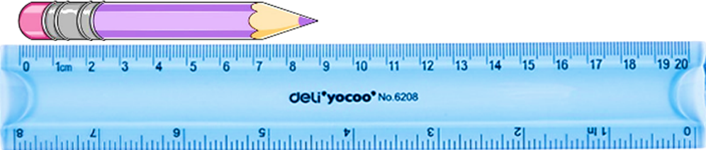 Bút chì dài …… cm. Số thích hợp điền vào chỗ chấm là:   	A. 10	B. 9 	C. 11	D. 8 (ảnh 1)