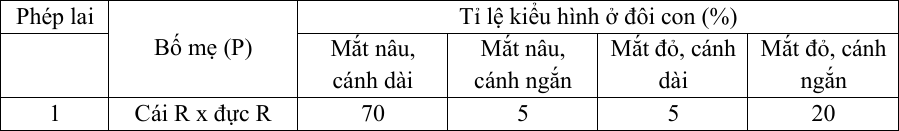 Ở một loài côn trùng, mỗi tính trạng màu mắt và hình dạng cánh đều do một gene quy định. Khi lai các dòng thuần chủng tương phản khác nhau về hình dạng cánh và màu thân, người ta thu được 2 nhóm cá thể có kiểu gene khác nhau (ảnh 1)