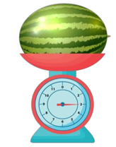 Điền số thích hợp vào chỗ chấm:  	  a) Quả dưa hấu nặng …. kg	b) Con vịt nặng … kg (ảnh 1)