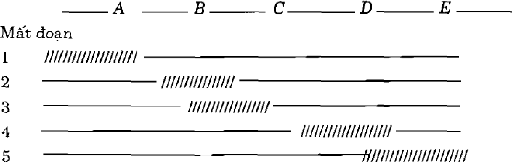 Một operon giả thuyết có trình tự A B C D E, nhưng chưa biết vị trí của operator và promoter. Gene quy định chất ức chế nằm xa operon này. Đột biến mất đoạn ở những phần khác nhau của operon được sử dụng để lập bản đồ (Hình 10). (ảnh 1)