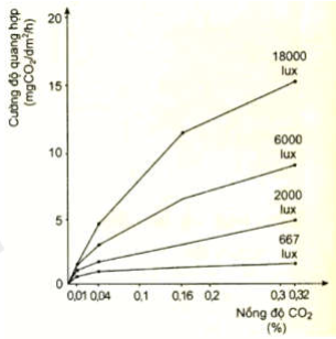 Đồ thị hình bên mô tả ảnh hưởng của cường độ ánh sáng và nồng độ CO2 đến cường độ quang hợp của cây. Theo lí thuyết, có bao nhiêu phát biểu sau đây đúng? (ảnh 1)