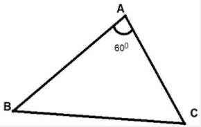 Đ&aacute;p &aacute;n cần chọn l&agrave;: B (ảnh 1)