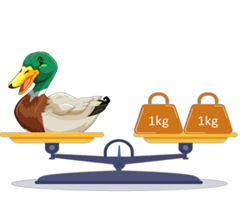 Điền số thích hợp vào chỗ chấm:  	  a) Quả dưa hấu nặng …. kg	b) Con vịt nặng … kg (ảnh 2)