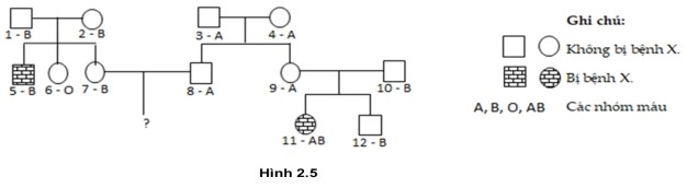 Sơ đồ phả hệ Hình 2.5 mô tả sự di truyền của nhóm máu ABO và một bệnh di truyền X. Trong đó, gene  quy định tính trạng nhóm máu nằm trên NST số 9; bệnh X do một trong 2 allele của gene  nằm trên cặp NST số 5 quy định, (ảnh 1)
