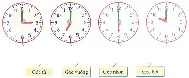 Quan sát và cho biết góc tạo bởi kim giờ và kim phút là góc gì? (ảnh 1)