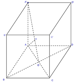 Khi biểu diễn tr&ecirc;n đường tr&ograve;n lư (ảnh 1)