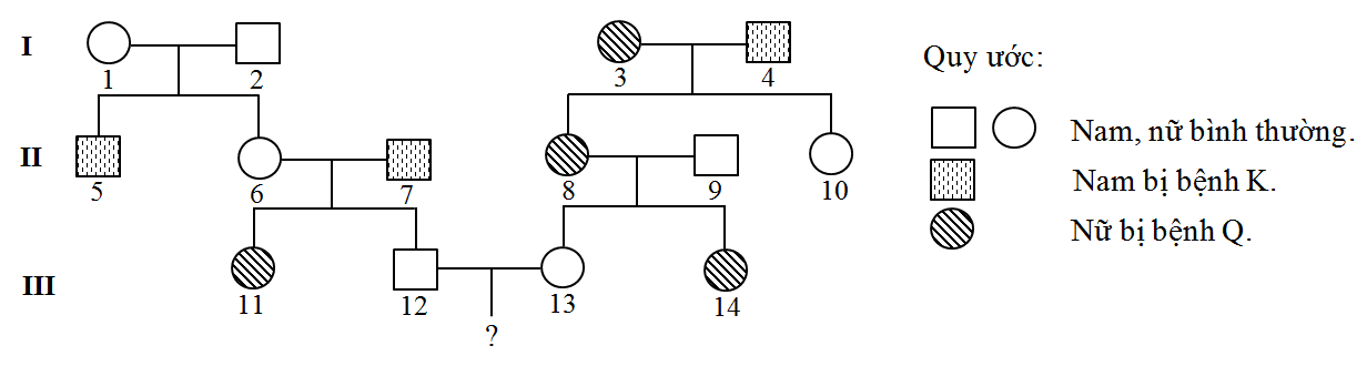 Theo dõi sự di truyền của 2 bệnh ở người (Bệnh Q và bệnh K), người ta đã xây dựng được phả hệ như sau: (ảnh 1)