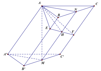 Cho h&igrave;nh ch&oacute;p tứ gi&aacute;c đề (ảnh 1)