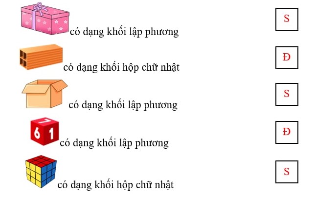 Đúng ghi Đ, sai ghi S (ảnh 2)