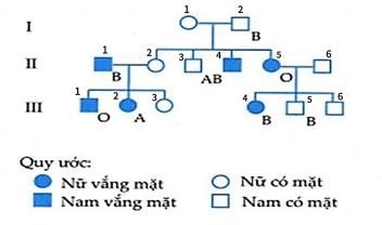 Một cụ bà (I.1) không may bị tai nạn giao thông khi băng qua đường. Do bị chấn thương ở đầu và mất nhiều máu, bác sĩ yêu cầu gia đình nạn nhân truyền máu gấp cho cụ bà. Được biết thông tin về nhóm máu của gia đình này qua phả hệ như hình bên,  (ảnh 1)