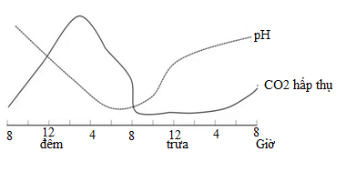 Hình bên thể hiện lượng CO2 hấp thu của cây và độ pH của tế bào thực vật được đo tại các thời điểm trong ngày. 1. Đường biểu diễn trên tương ứng ở nhóm thực vật CAM. 2. Tại thời điểm 12h đêm, khí khổng đang đóng. (ảnh 1)