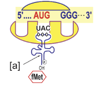 Khi nói về mức phản ứng, có bao nhiêu phát biểu sau đây sai?   Mức phản ứng là tập hợp các kiểu gen khác nhau của cùng một kiểu hình. (ảnh 1)