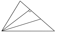 Hình vẽ sau có tất cả bao nhiêu góc? (ảnh 1)