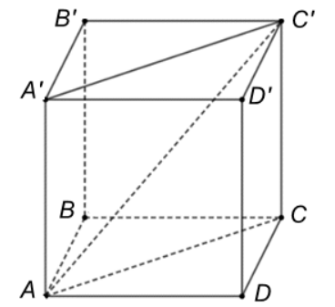Đáp án cần chọn là: A (ảnh 1)