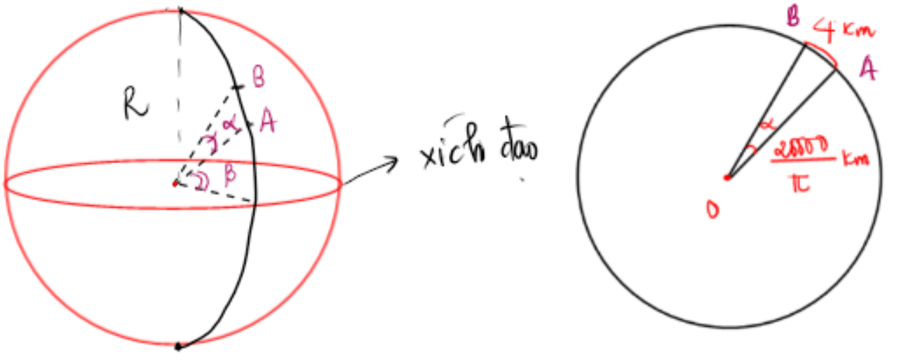 Chọn nhiều đ&aacute;p &aacute;n đ&uacute;ng. Một đo&agrave;n kh&aacute;ch du lịch đi tham quan vườn sinh th&aacute;i ở Bắc b&aacute;n cầu. Do điều kiện xe đưa đ&oacute;n ở mỗi điểm thăm quan kh&ocirc;ng đủ n&ecirc;n họ chia l&agrave;m hai nh&oacute;m, nh&oacute;m một đi tham quan c&aacute;c lo&agrave;i động vật hoang d&atilde; trước t (ảnh 1)