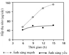Thực vật có thể hấp thụ các hợp chất chứa nitơ chủ yếu là ammonium (NH +) và nitrate (NO -) từ đất qua hoạt 4 3 động của hệ thống rễ. (ảnh 1)