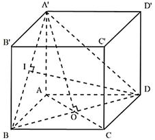 Cho lăng trụ tứ giác đều \(ABCD.A'B' (ảnh 1)