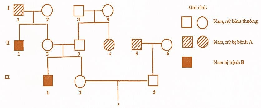 Phả hệ sau đây mô tả sự di truyền bệnh A và bệnh B. Biết rằng: mỗi bệnh đều do 1 trong 2 allele của 1 gene quy định; các gene phân li độc lập; allele trội là trội hoàn toàn; người I.1 không mang allele gây bệnh B. (ảnh 1)