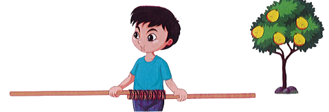 Để hái những quả bưởi trên cao, Phong nối hai cây gậy với nhau. Một cây dậy dài 18 dm, cây còn lại dài 14 dm. Đoạn nối giữa hai cây gậy là 3 dm. Vậy chiều dài của hai cây gậy nối với nhau là:  (ảnh 1)