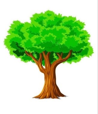 Dựa vào bức tranh dưới đây, hãy đặt câu có chứa tính từ chỉ hình dáng hoặc tính từ chỉ màu sắc: (ảnh 2)