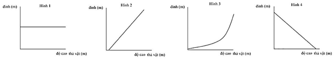 Đồ thị nào sau đây thể hiện rõ nhất mối quan hệ giữa vị trí thả vật và đỉnh đạt được trong Thí nghiệm 1?      A.	Hình 1 B.	Hình 2 C.	Hình 3 D.	Hình 4 (ảnh 1)