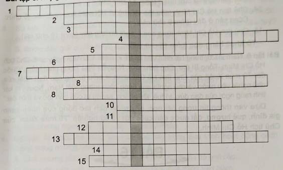 Hãy giải ô chữ sau: - Các câu hỏi ô hàng ngang (từ trên xuống): 1. Quê ngoại của Chủ tịch Hồ Chí Minh (gồm 12 chữ cái). (ảnh 1)