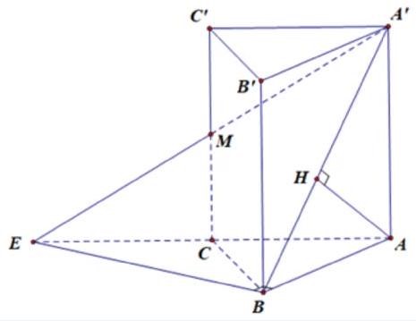 Đáp án cần chọn là: A (ảnh 1)