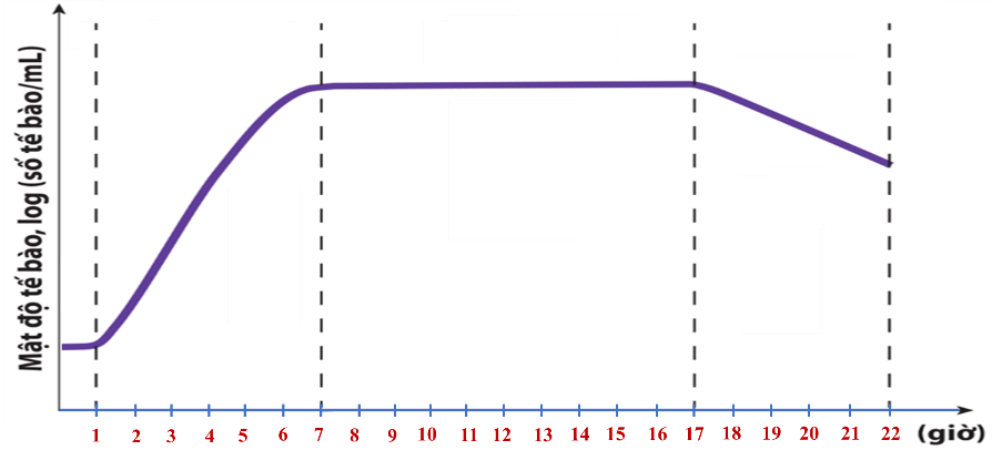 Biểu đồ dưới mô tả các pha sinh trưởng của quần thể vi khuẩn E. coli được nuôi cấy trong hệ kín. (ảnh 1)