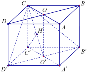 Anh H&agrave; dự định l&agrave;m m (ảnh 1)