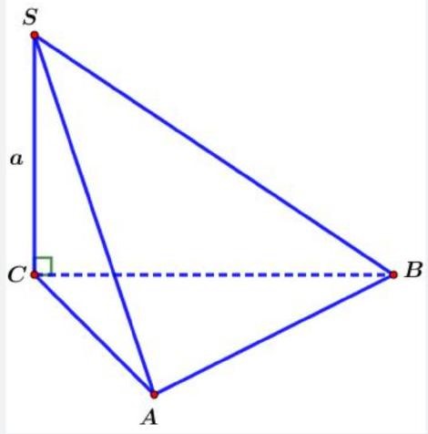 Giải chi tiết (ảnh 1)